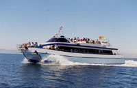 We can charter this motorised catamaran with great viewing space for you at the America's Cup Valencia