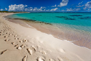 Deserted beach on Anegada