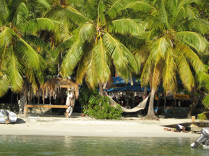 The view of Foxy's from the water