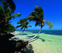 caribbean