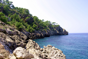 The rocky coast near Soller
