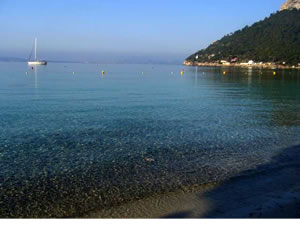 Pines on Mallorca