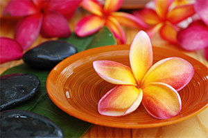 frangipani