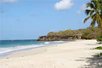martinique beach