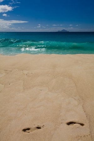 beach on  st maarten