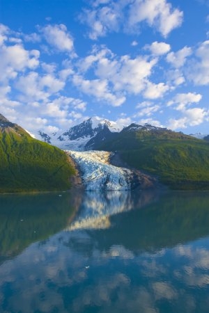 alaska the last frontier live cams discovery channel follow the