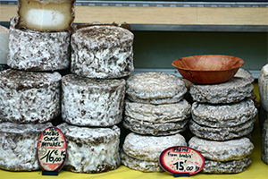 Corsican cheese