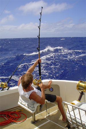 Fish   on Chartering A Sport Or Deep Sea Fishing Boat