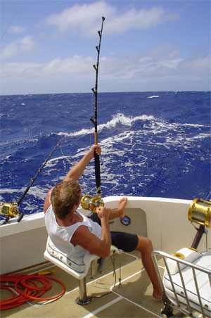Fish Games on Big Game Fishing Reeling The Fish In