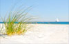 Florida Yacht Charter