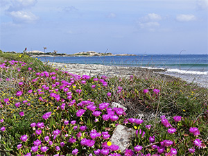 Santa Teresa Gallura