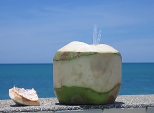 coconut drink