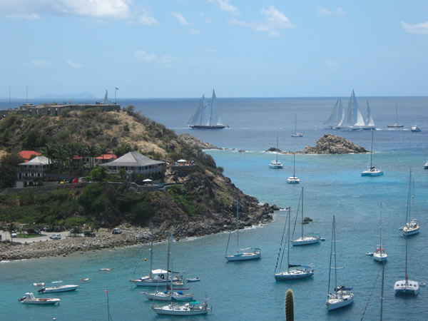Caribbean Regatta Yacht Charter - the beauty of the tall ships!