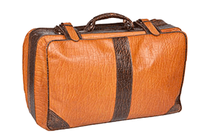 suitcase