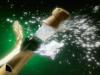 Champagne Included!