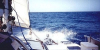 Bow Deck