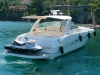 Charter Yacht Sea Ray Sundancer 460 - 2 Cabins - French Riviera