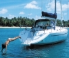 Charter Yacht Harmony 42 - 3 Cabins - Guadeloupe - St Martin