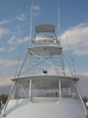 Charter Yacht Shark Byte - 61 ft Viking - Charleston SC