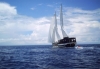 Charter Yacht SULTAN OF BLUES - 8 Cabins - Maldives, Indian Ocean