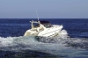 Charter Yacht Sunseeker Joker 45 - Day Charter - Ibiza
