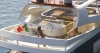 Charter Yacht Aicon 85 Fly - 4 Cabins - Mediterranean