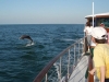 Charter Yacht TIRELESS - Trumpy 68 - Chesapeake Bay - South Florida