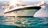 Charter Yacht Trader 44 - (4 Cabins) - A/C - Tortola, BVI