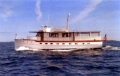 SEA TABBY - 61 Trumpy - New England