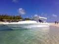 Al Dhaen 36ft - Day Charter - 1 Cabin - Mauritius