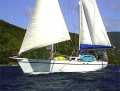 CALLIOPE -  Southern Ocean 60 - Caribbean