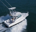Luhrs 32 Open