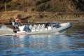 Redbay Stormforce 8.4 Charter Rib - Lymington