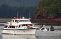 ALASKAN STORY - 92` Westport - Sleeps 9 guests in 4 Cabins - Alaska - Pacific Northwest