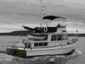 WREN - Grand Banks 36 - 3 cabins - Coast of Maine