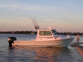 Steiger Craft Chesapeake  26 Day Boat - 1 Cabin - New York NY - USA