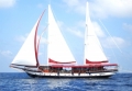 SULTAN OF FERVOUR - 8 Cabins - Maldives