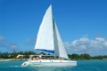 Wildcat 41 - CAT III - Day Charter - Mauritius
