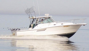 Fishing Boat 34ft Pursuit Express Fisherman - Wilson - Point Breeze, Lake Ontario