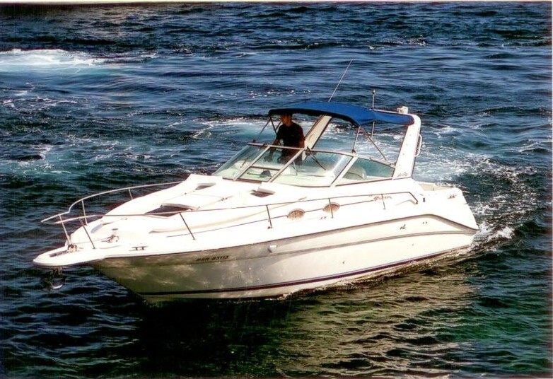 sea ray 290