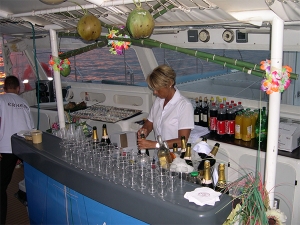 Party Catamaran