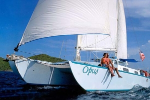 Charter Yacht OPUS - Piver 50 Cat - 3 Cabins - Virgin Islands - Leeward Islands - Windward Islands