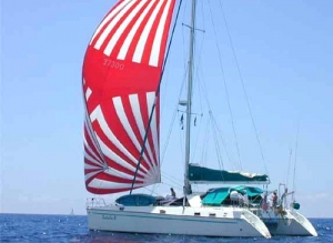 Charter Yacht PENTESILEA II - Privilege 48 - 4 Cabins - Virgin Islands