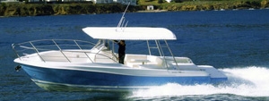 Charter Yacht QUER 35 - Day Charter - Mallorca