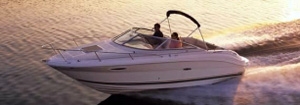 Charter Yacht Sea Ray 22 - Day Charter - Ibiza