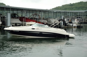 Charter Yacht Sea Ray 240 Sundeck - Day Charter - Ibiza