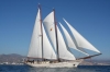 ADORNATE - Event Schooner