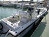 INTREPID CUDDY 323 - Day Charter - Ibiza