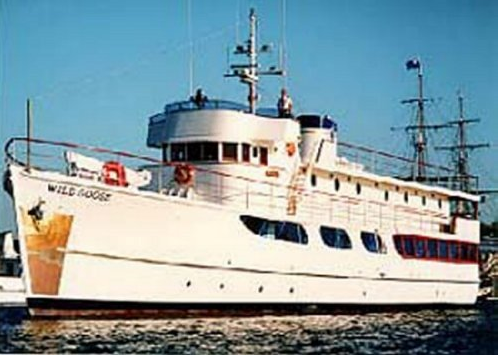 wild goose yacht history