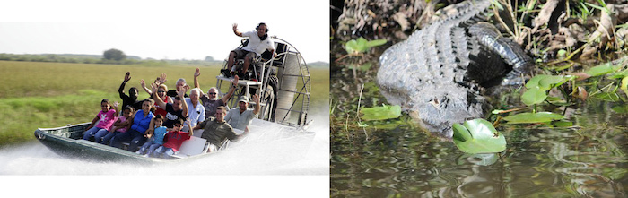 everglades